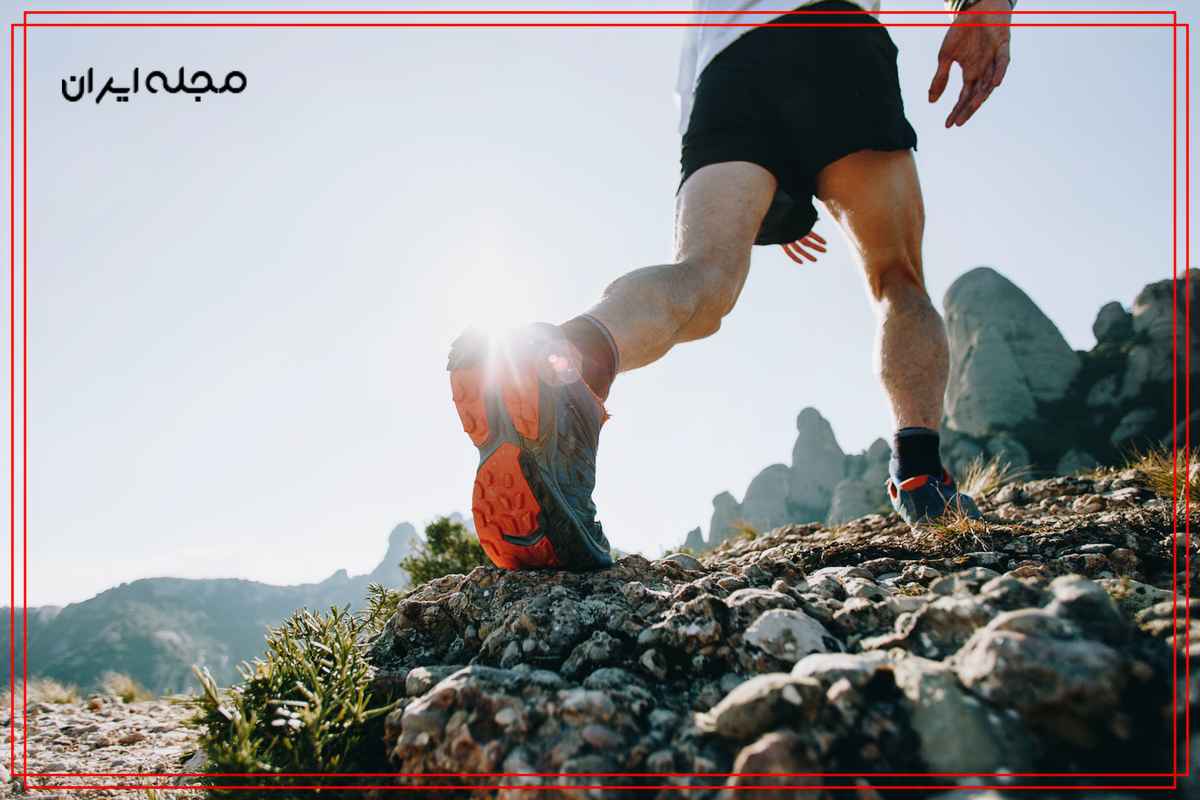 کاهش وزن برای سال 2024